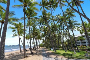 Une plage bordée de palmiers, avec un bâtiment visible au loin.
