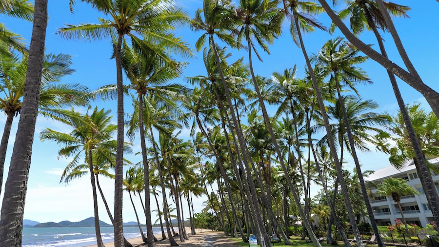 Alamanda Palm Cove by Lancemore