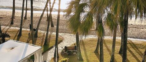 A pool area with lounge chairs, a small garden, and a view of the beach and ocean.