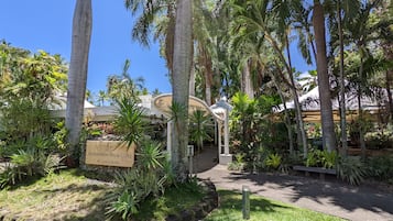 A tropical garden with palm trees, a sign reading "Alameda Palm Cove by Lancimore," and a pathway leading to a building.