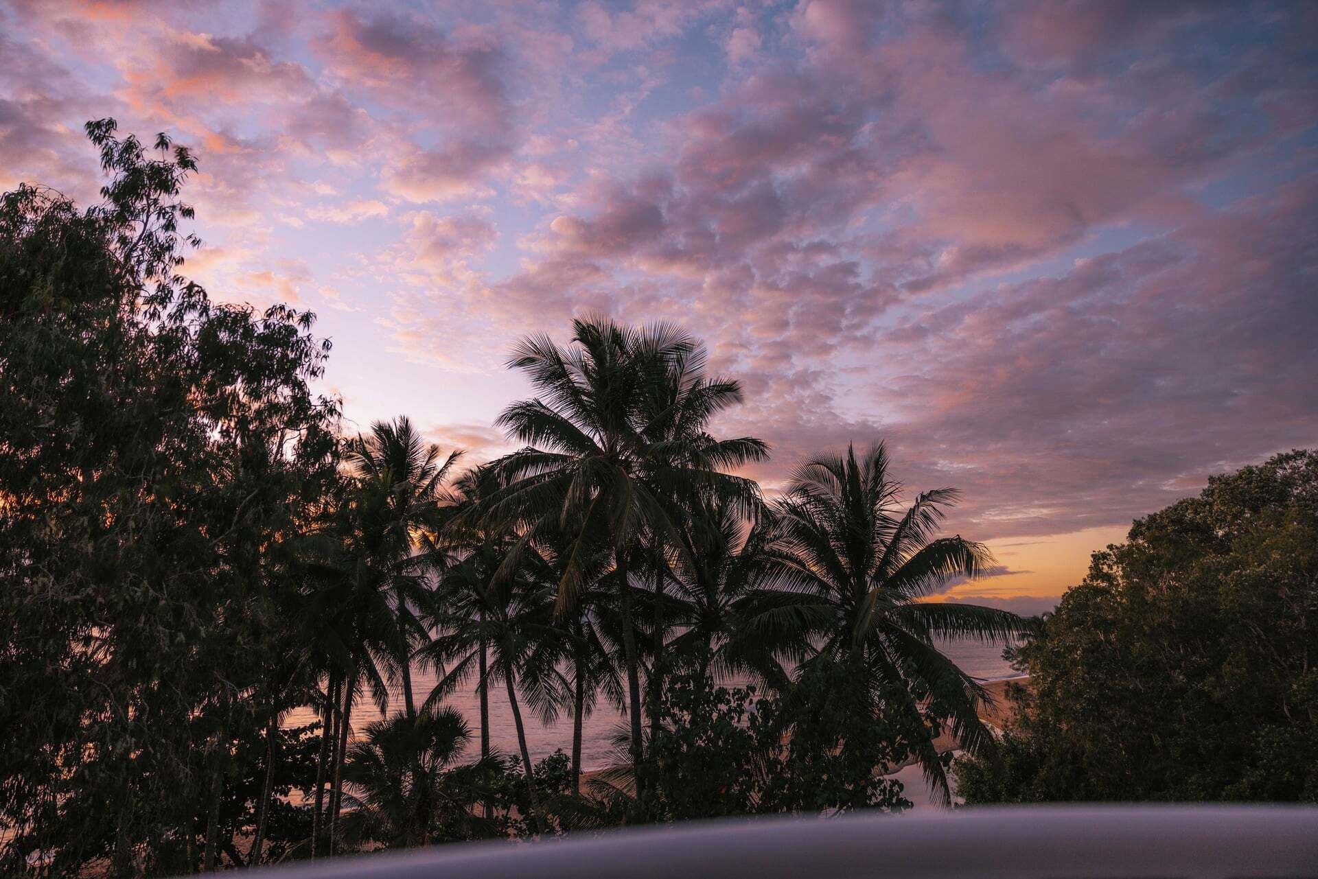 A sunset view with palm trees and a beach.