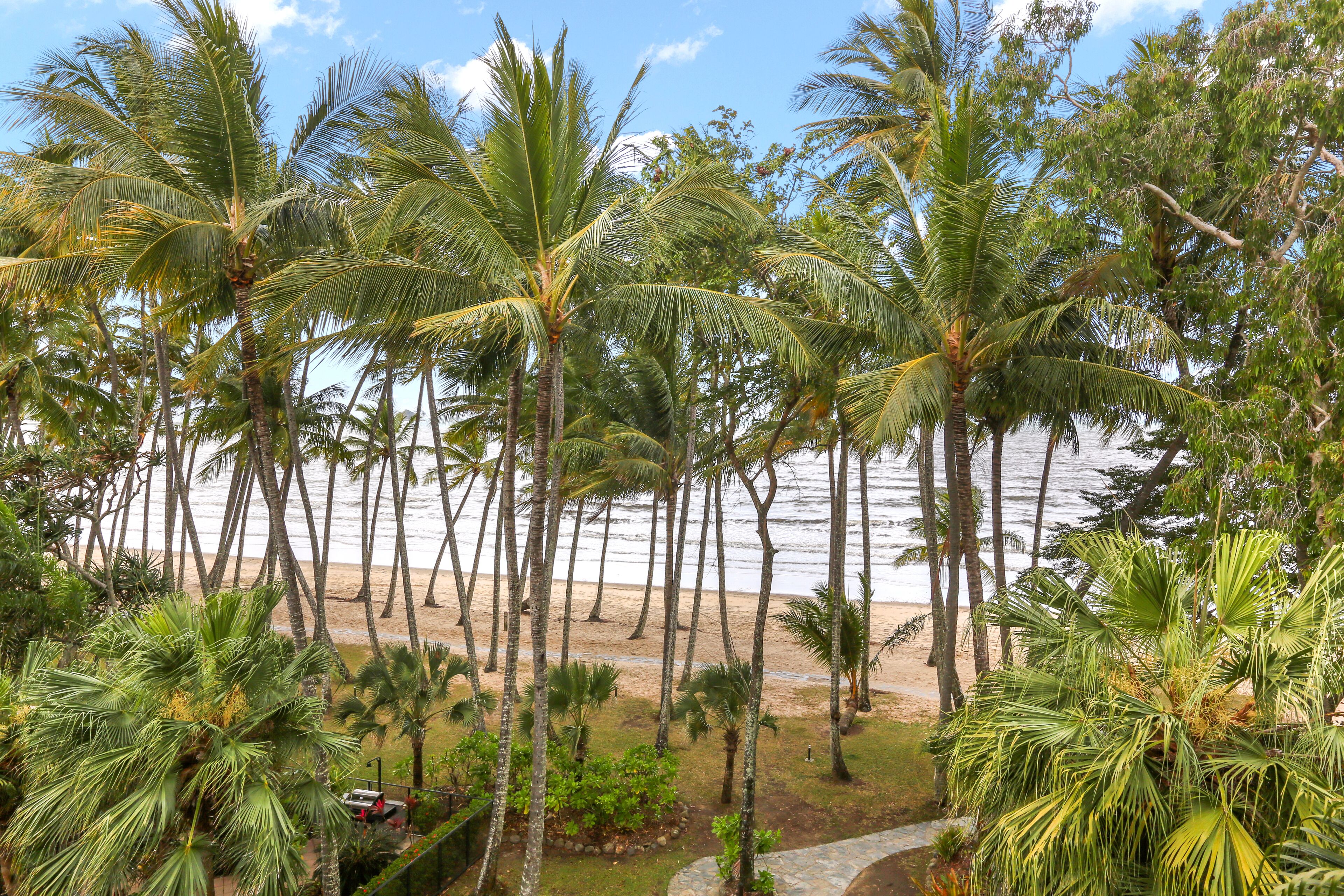 Una spiaggia con palme e vista libera sull'oceano.
