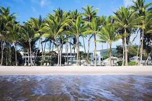 2 Bedroom Beach Front Apartment - Complimentary Parking, WiFi and Daily Beach Yoga | Beach/ocean view - Alamanda Palm Cove by Lancemore (Palm Cove)