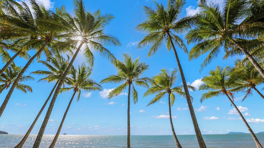 Alamanda Palm Cove by Lancemore