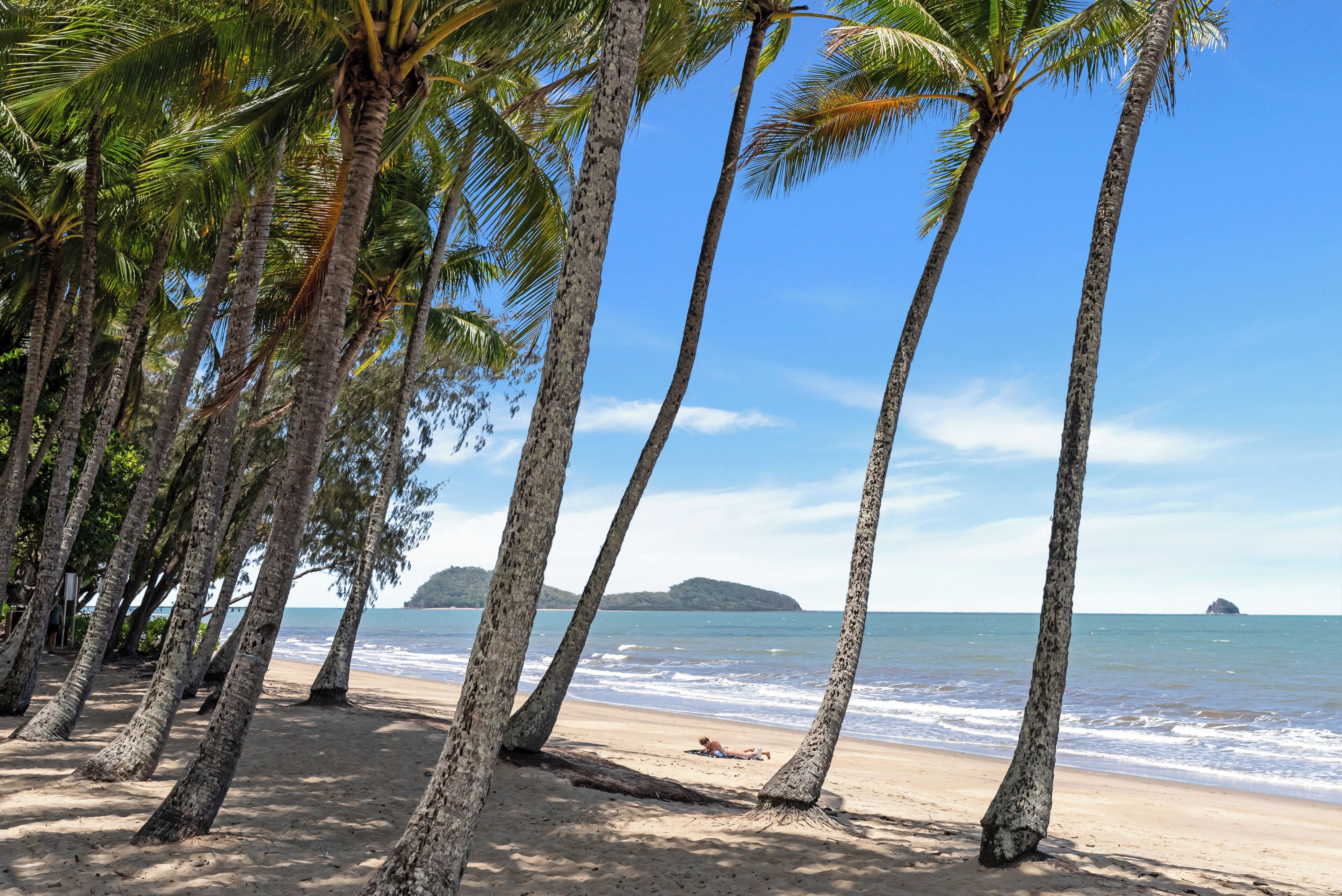 A beach with palm trees and a person lying on the sand.