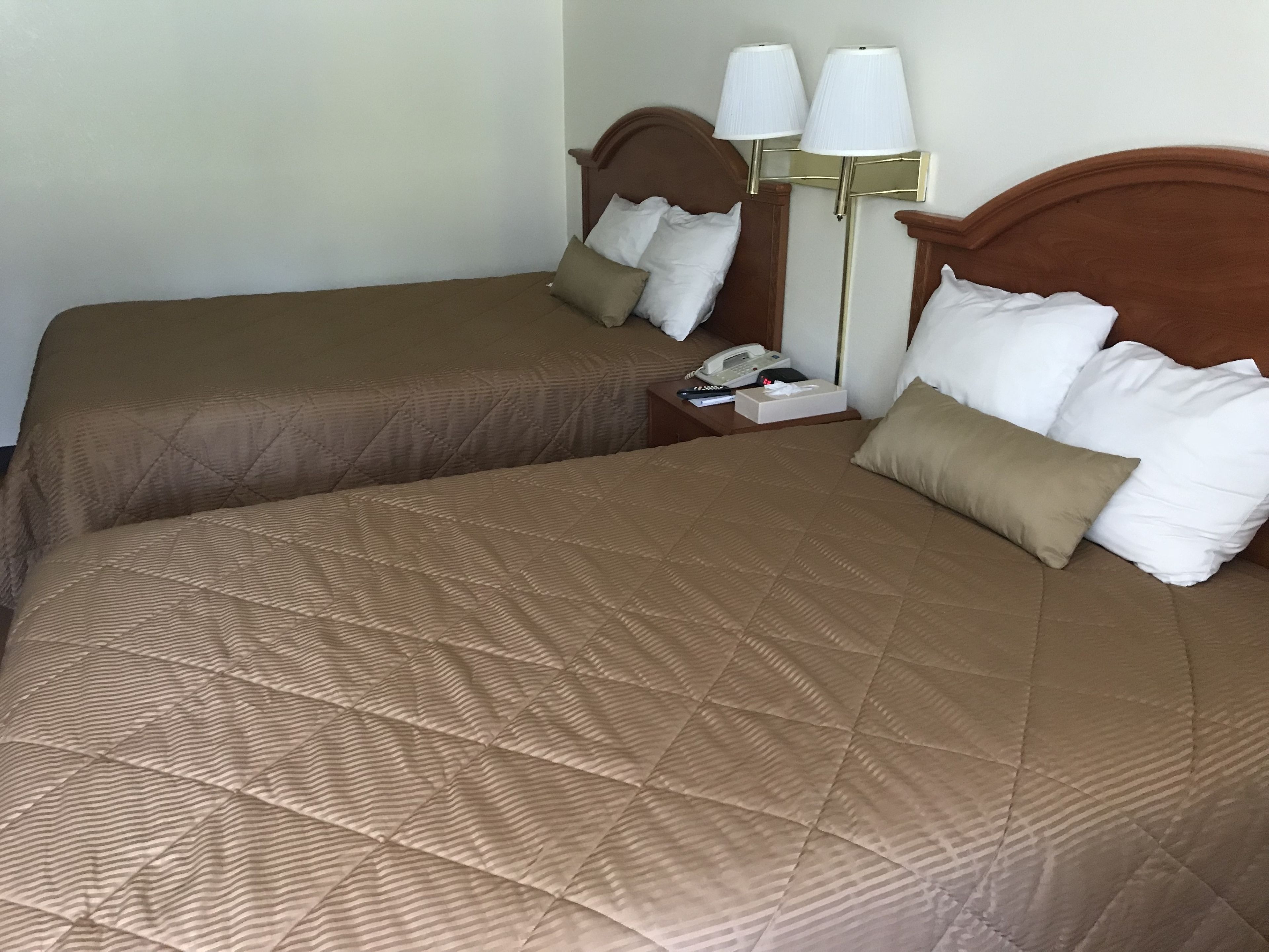 Two twin beds with brown bedding, a bedside table with a lamp, and a telephone.