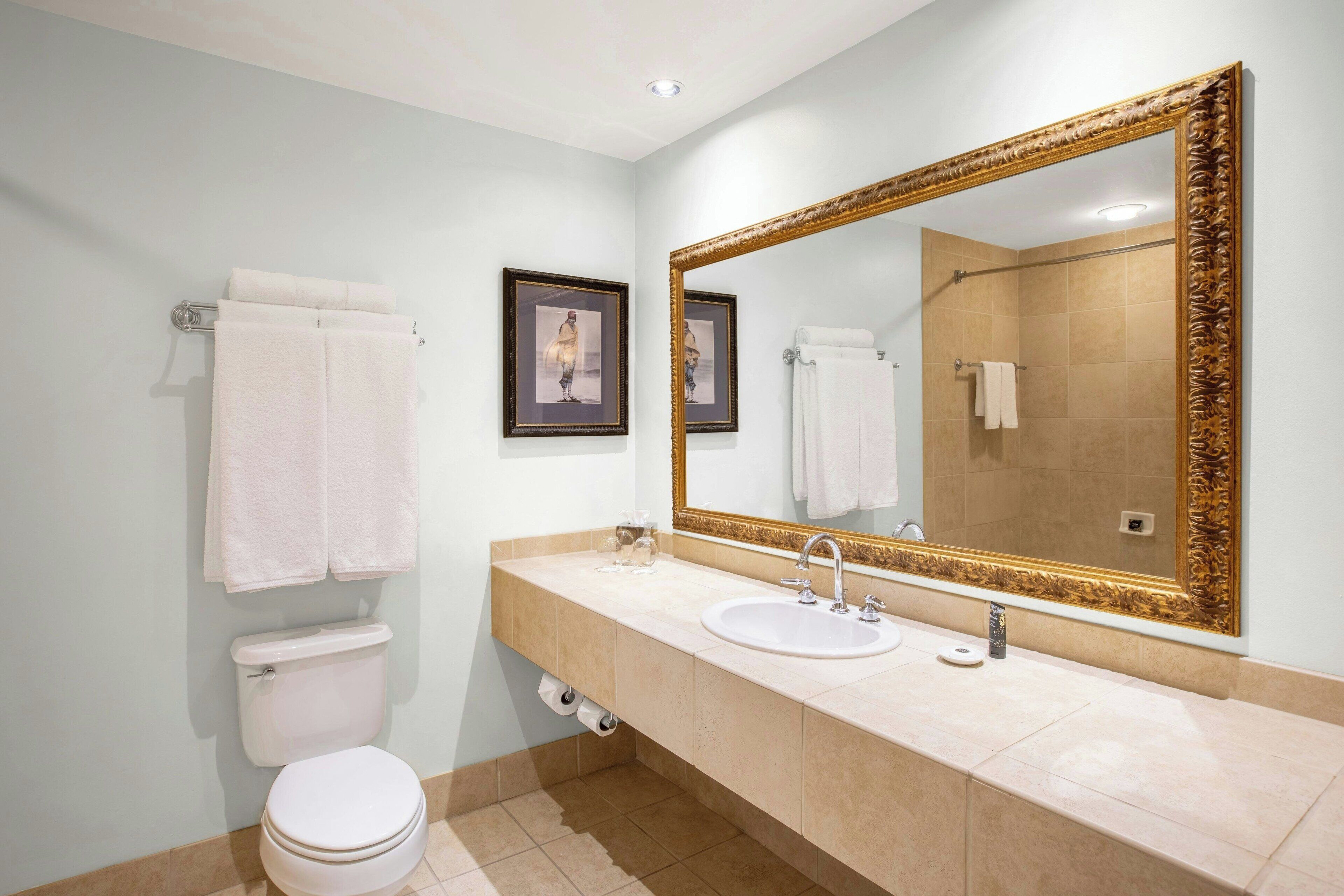 A bathroom with a toilet, sink, and large mirror.