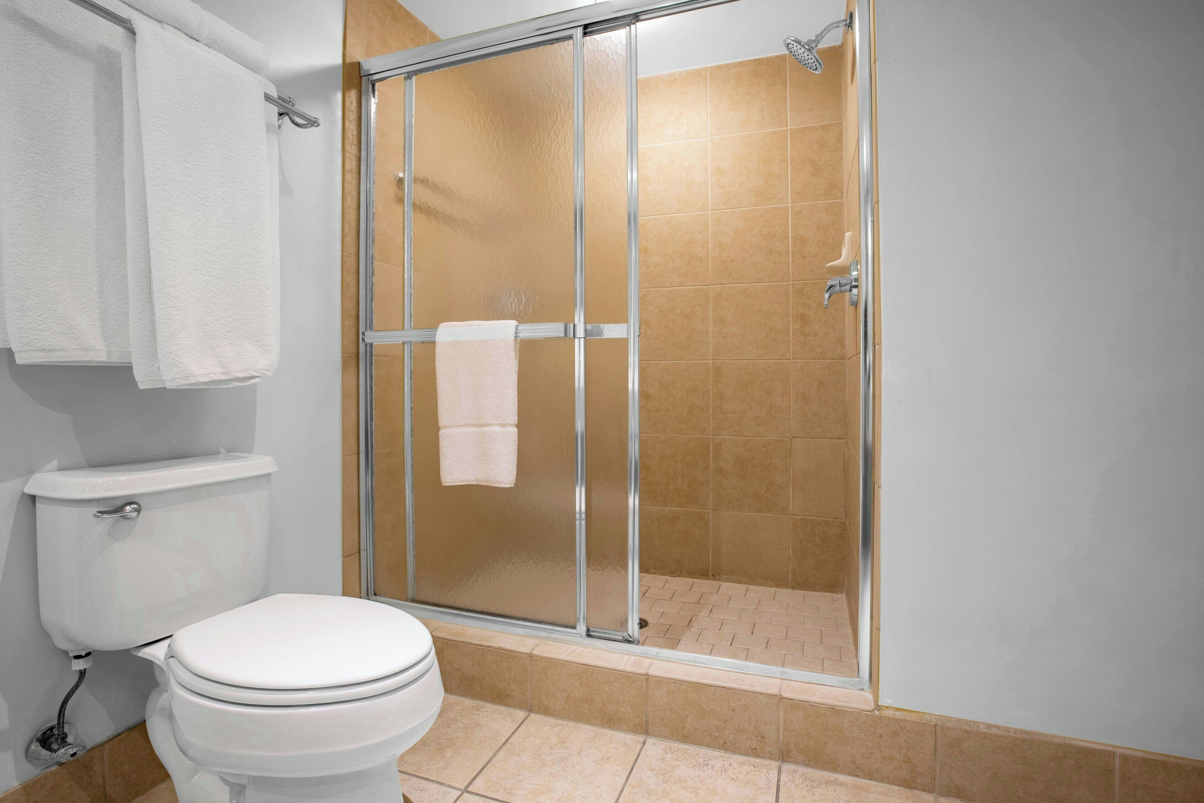 Een badkamer met toilet, douchecabine en handdoekhouder.