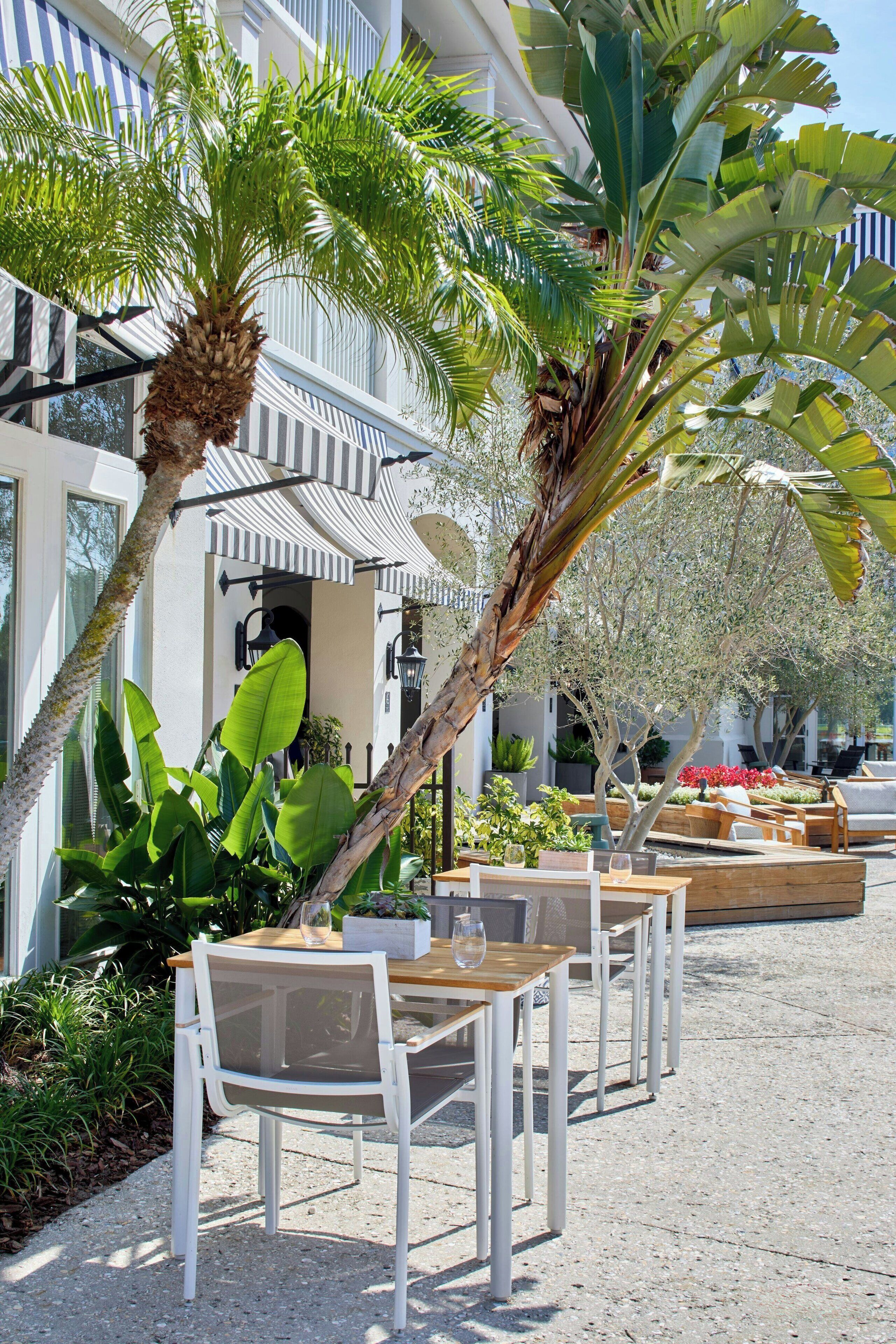 An outdoor seating area with tables and chairs, surrounded by lush greenery and a palm tree.