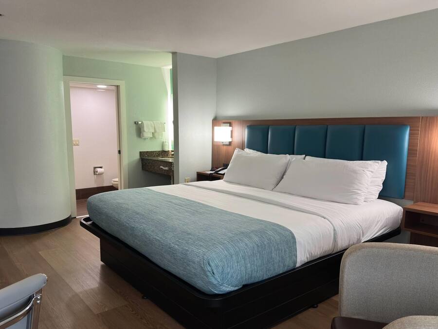 Chambre, 1 grand lit, accessible aux personnes à mobilité réduite, non-fumeurs (Roll-in Shower) | Draps en coton égyptien, literie de qualité supérieure, surmatelas