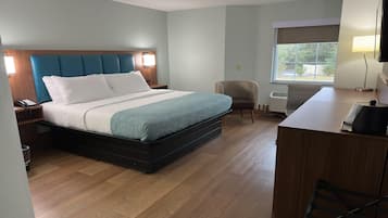 Room, 1 King Bed, Non Smoking | Egyptian cotton sheets, premium bedding, pillowtop beds