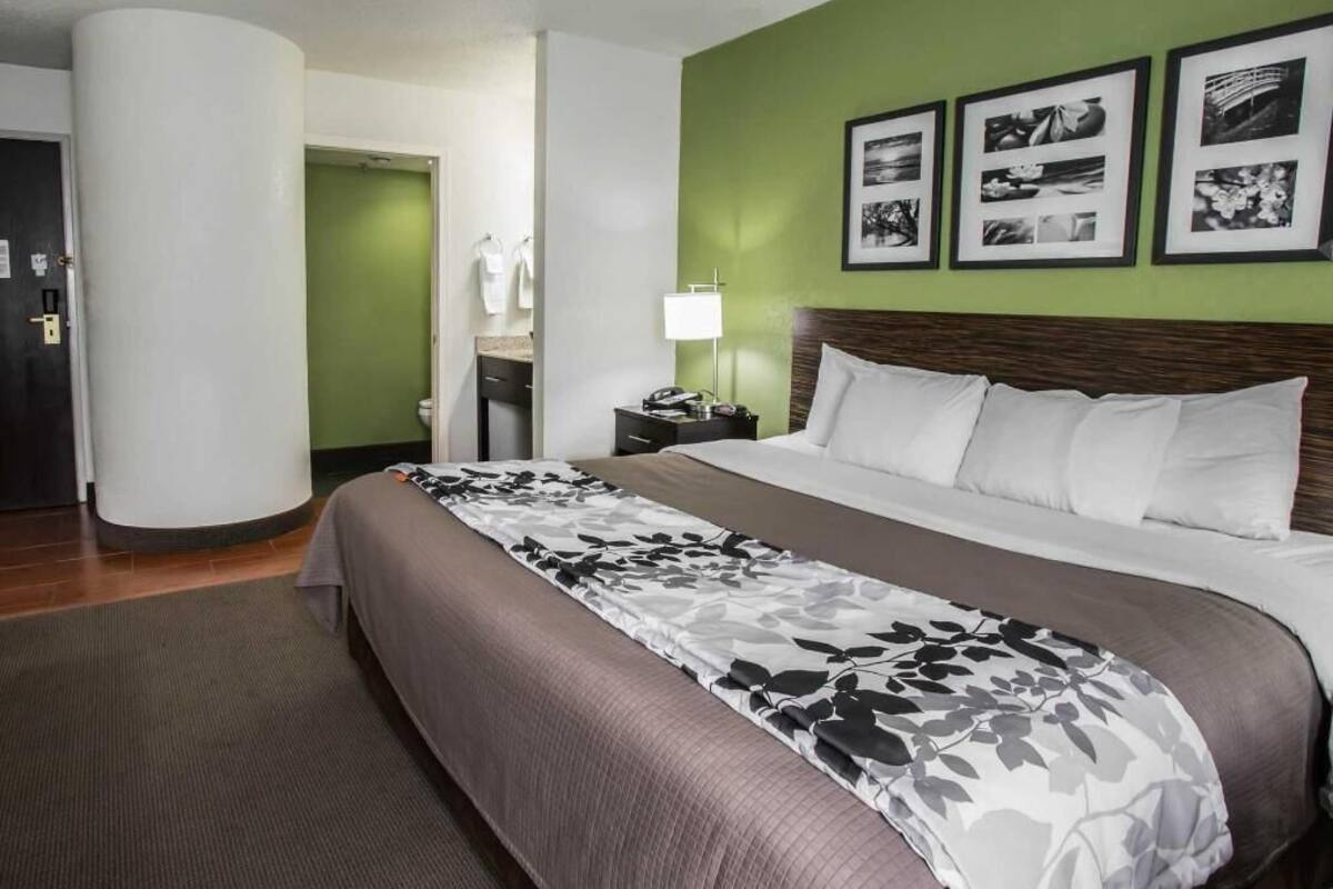 A hotel room with a large bed, a nightstand, a lamp, and framed pictures on the wall.