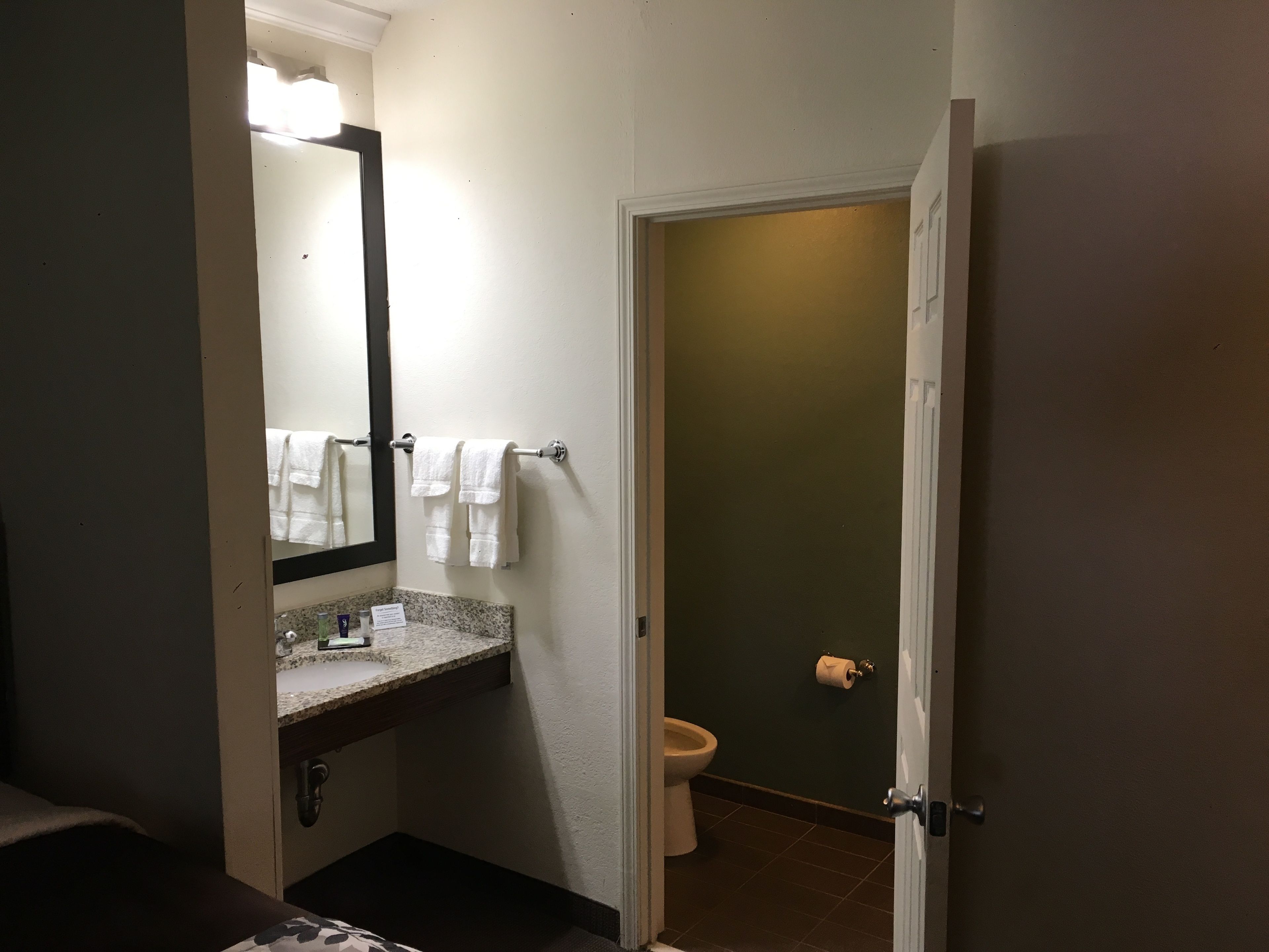 A bathroom with a sink, mirror, and toilet.