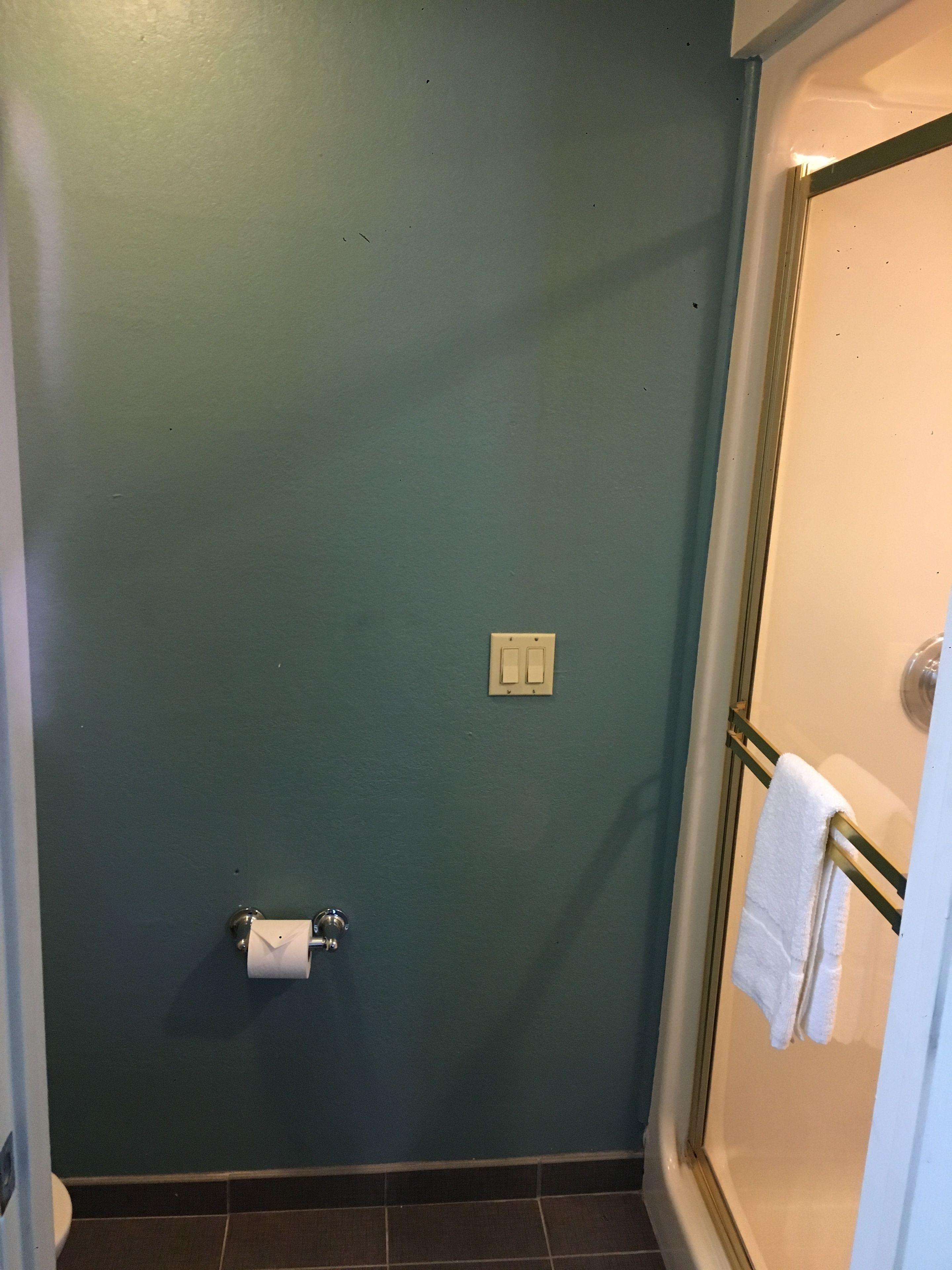 Un baño con paredes verde azulado, un inodoro, un perchero con una toalla y una zona de ducha.