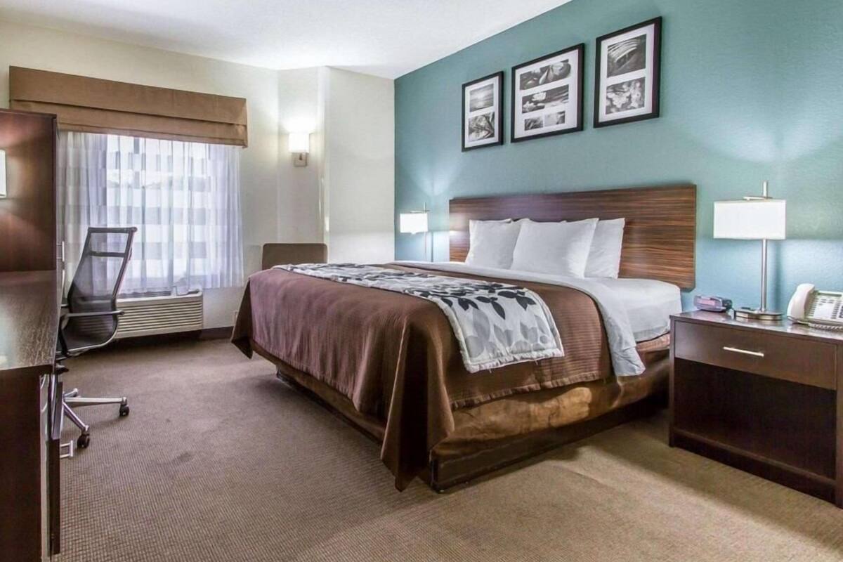Quarto de hotel com uma cama, escrivaninha, cadeira, janela com cortinas e quadros na parede.