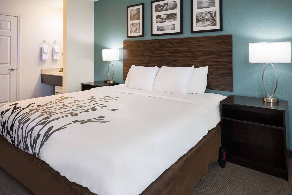 A hotel room with a large bed, two bedside tables, a nightstand, a wall-mounted lamp, and a framed picture above the bed.