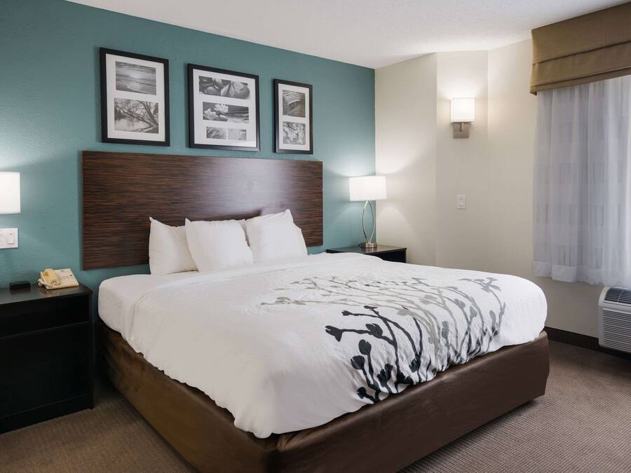 Habitación de hotel con una cama grande, dos mesitas de noche, cabecero y cuadros enmarcados en la pared.