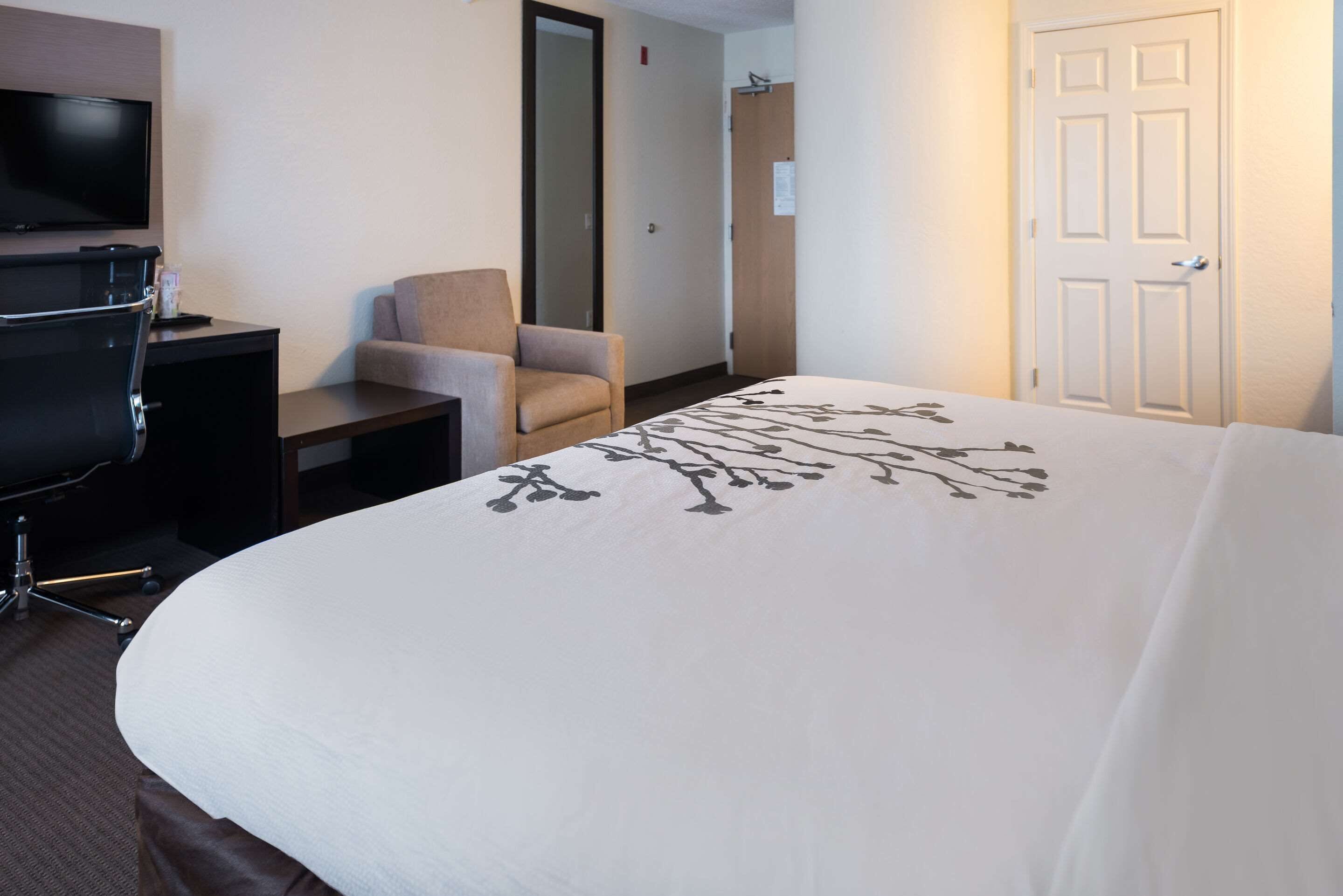 A hotel room with a bed, a desk, a chair, a television, and a door.