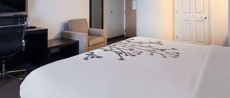 A hotel room with a bed, a desk, a chair, a television, and a door.