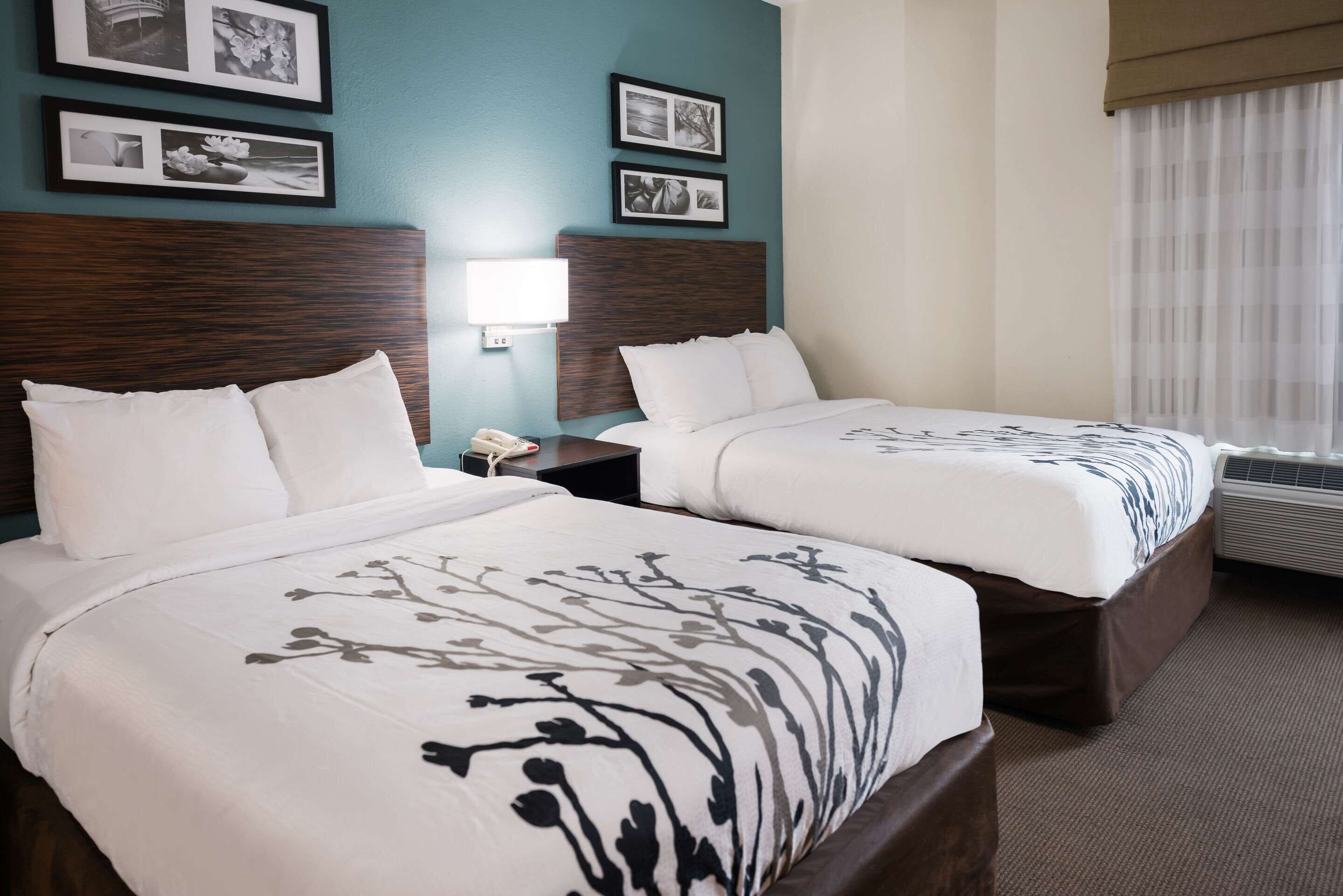 A hotel room with two beds, a wooden headboard, a bedside table with a lamp, and framed pictures on the wall.