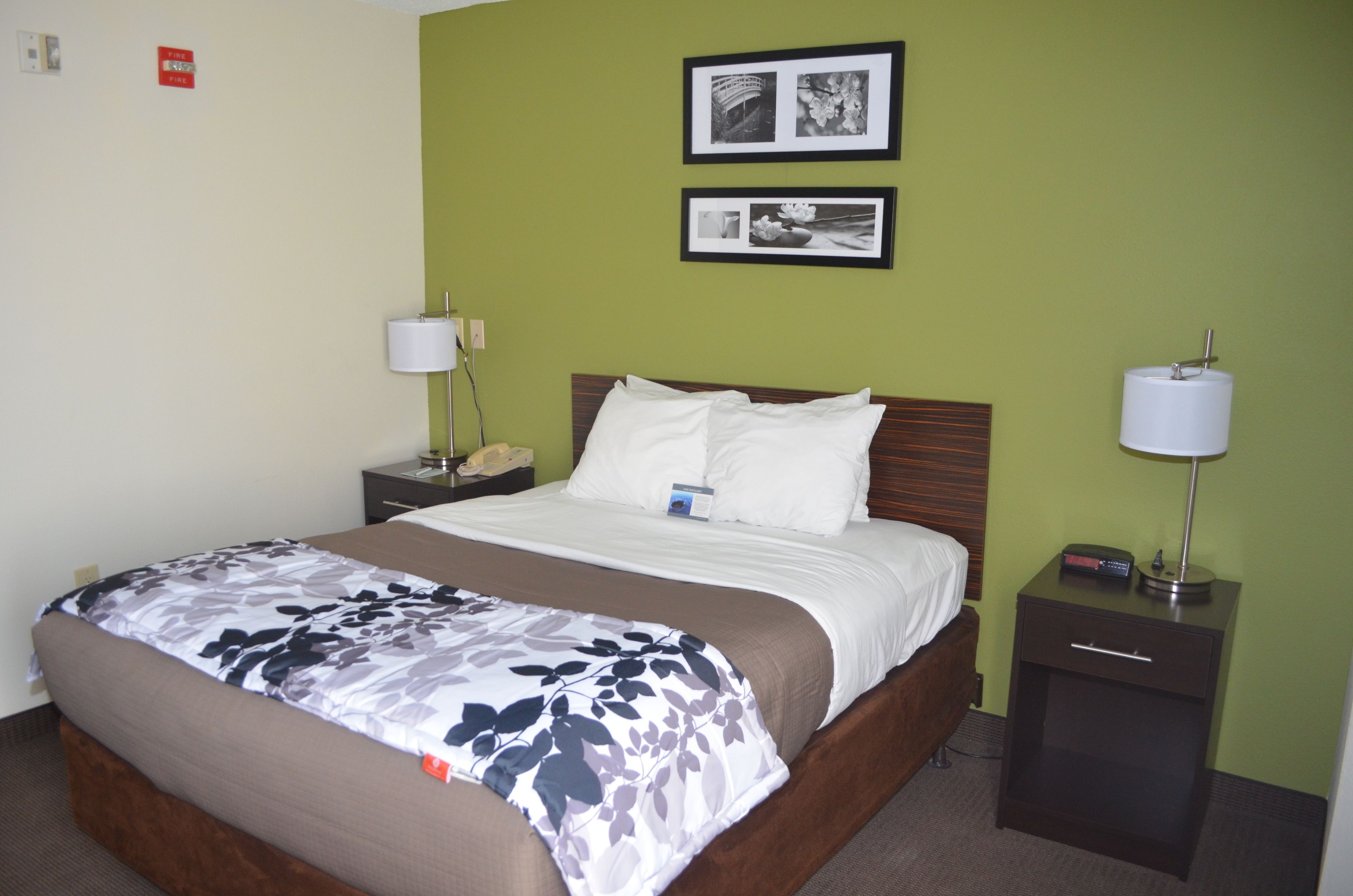 Una habitación de hotel con una cama, mesitas de noche y una pared decorada con cuadros.