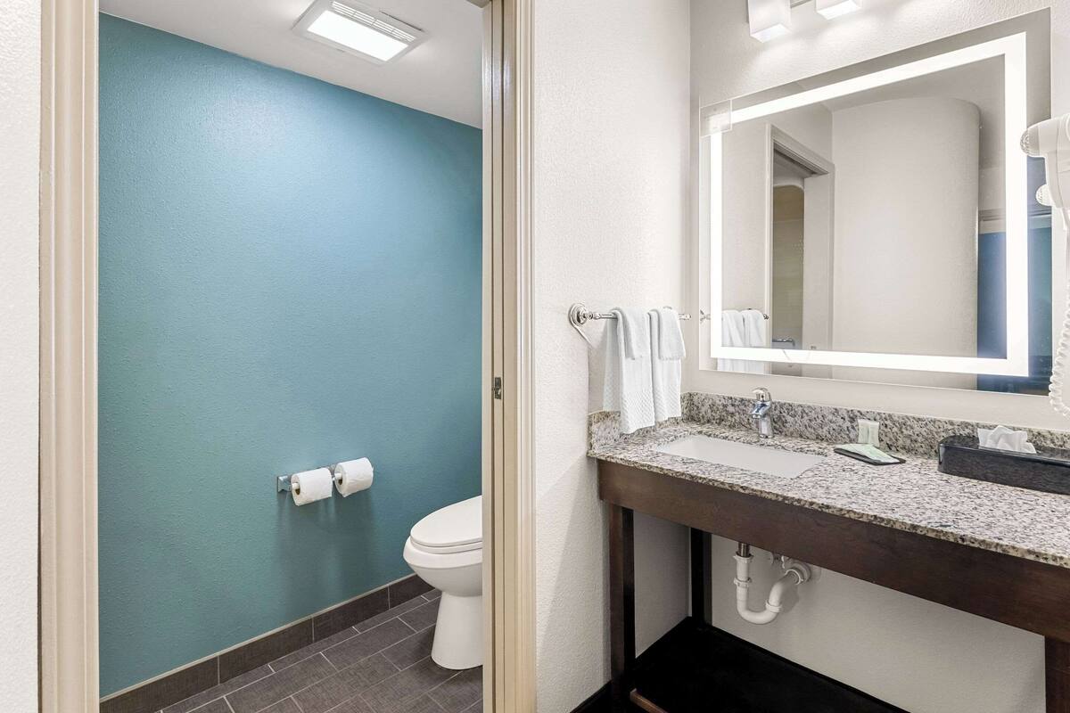 suite, 1 king bed with sofa bed, non smoking | desk, iron/ironing board, free wifi, alarm clocks