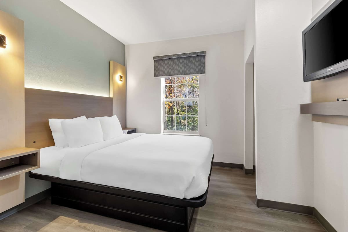 A modern bedroom with a large bed, bedside tables, a TV, and a window with a view.