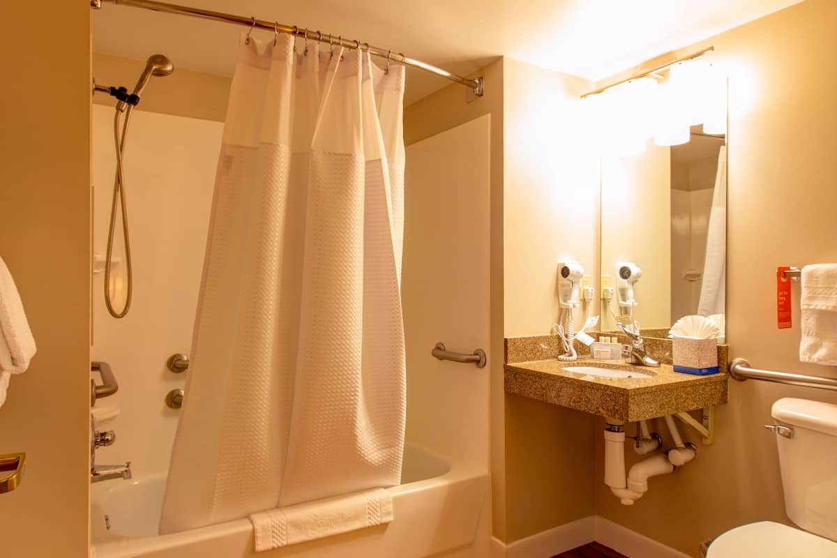 combined shower/bathtub, free toiletries, hair dryer, towels