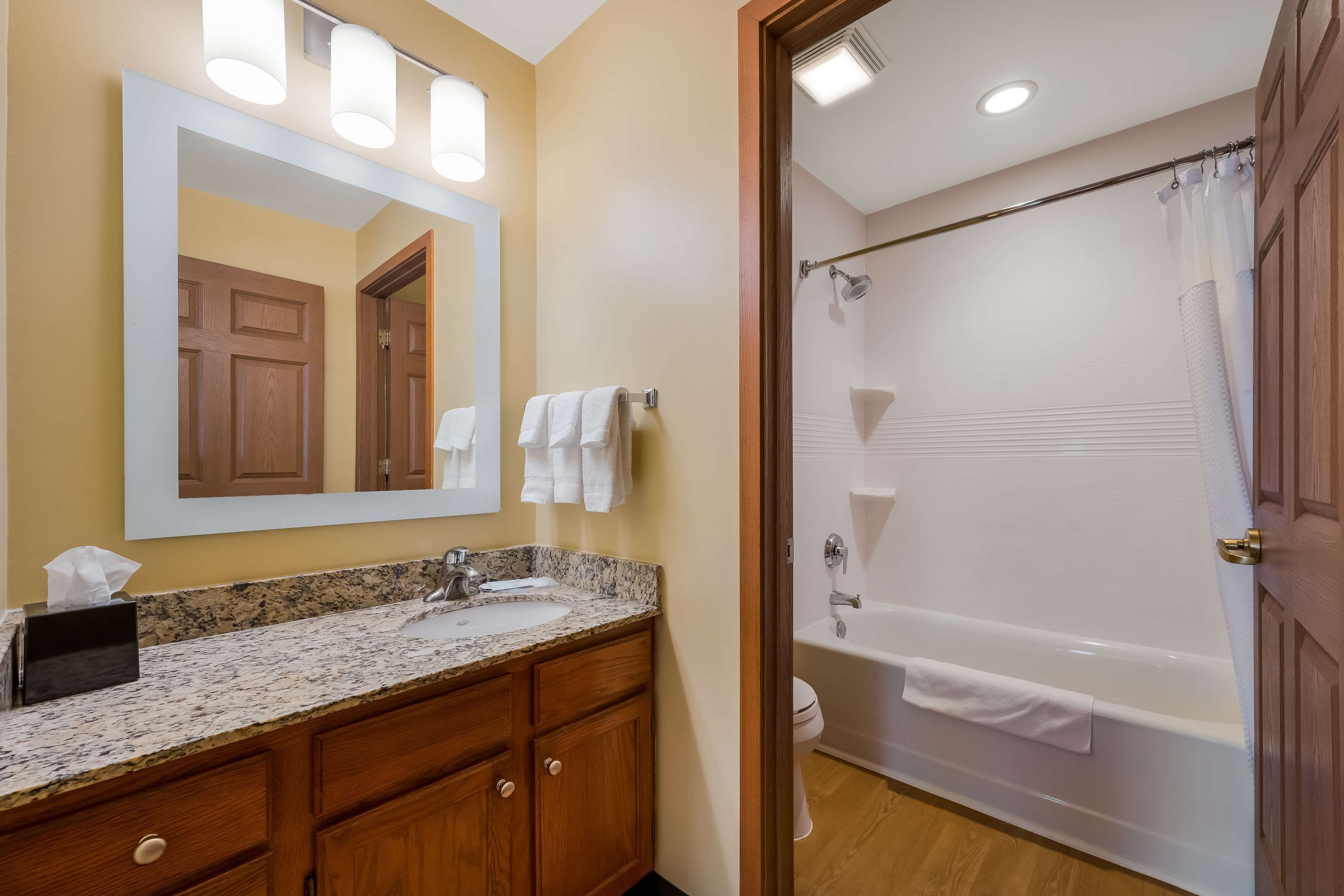 combined shower/bathtub, free toiletries, hair dryer, towels