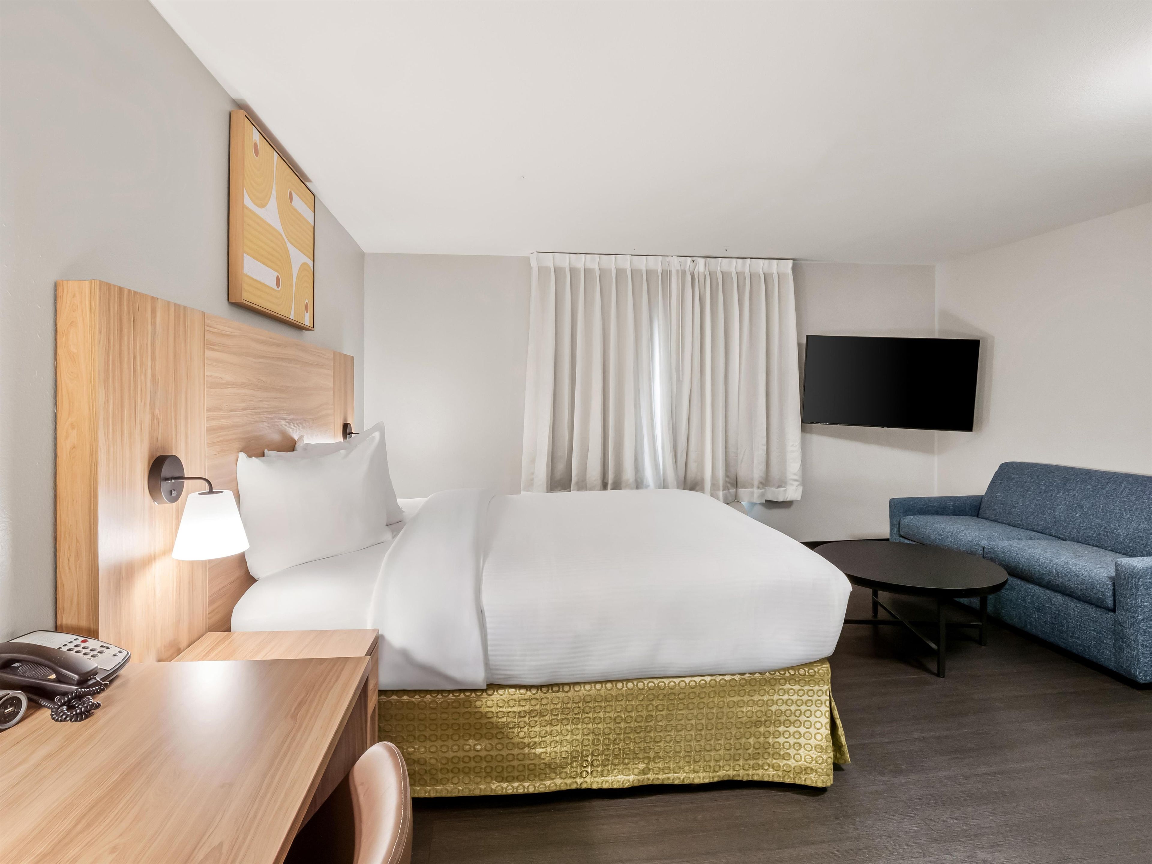 A hotel room with a bed, a desk with a telephone, a blue sofa, a television, and a wall-mounted artwork.