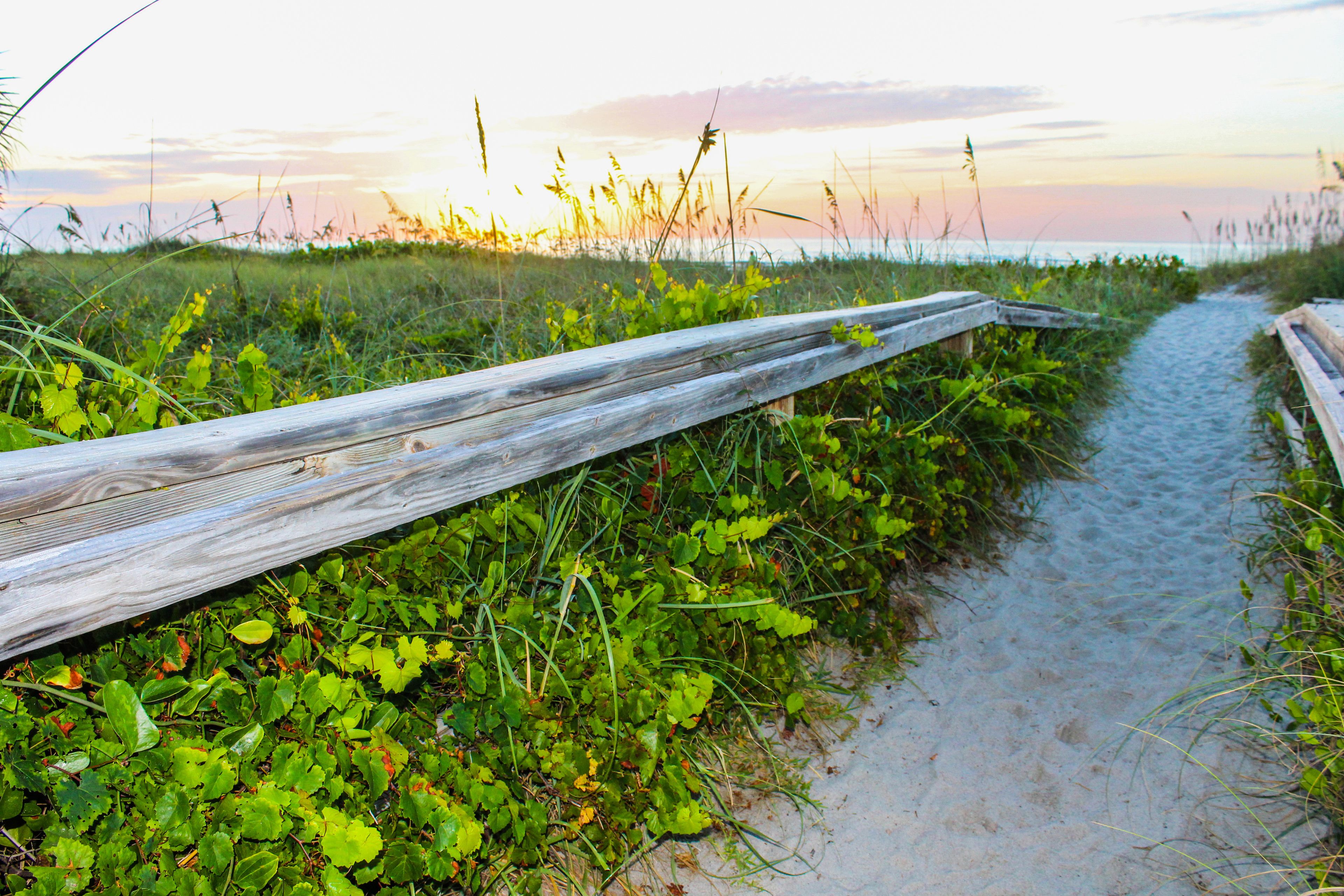 Un muelle de madera que conduce a una playa, rodeado de vegetación exuberante y con un atardecer de fondo.