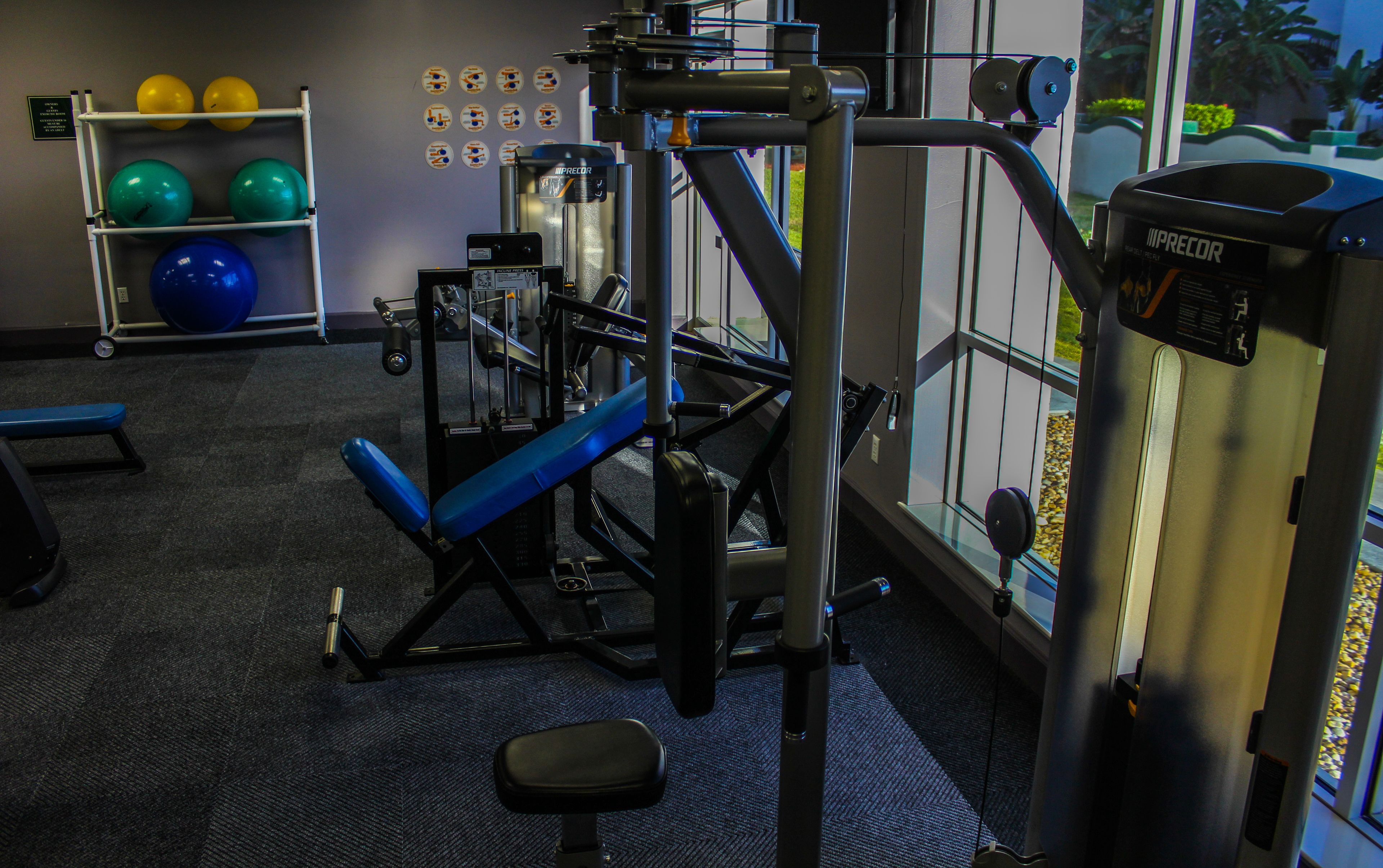 A gym with exercise equipment, a blue bench, and a rack of exercise balls.