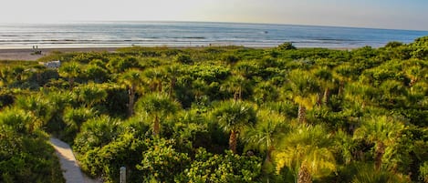 Utsikt fra overnattingsstedet