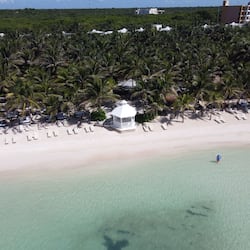 Relax by the ocean at this beachfront hotel, surrounded by palm trees and comfortable lounge chairs.