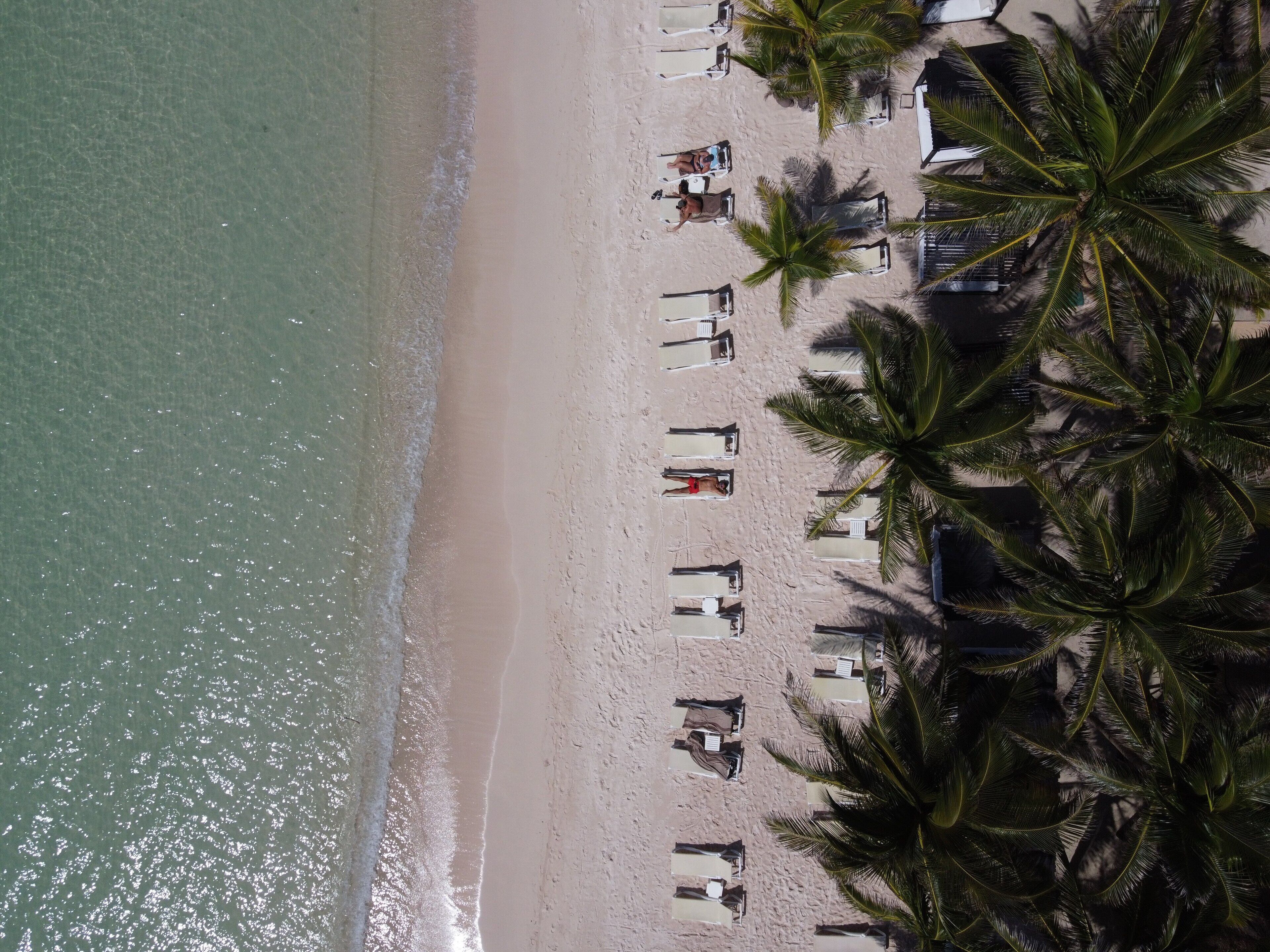 A beach with sun loungers and palm trees.