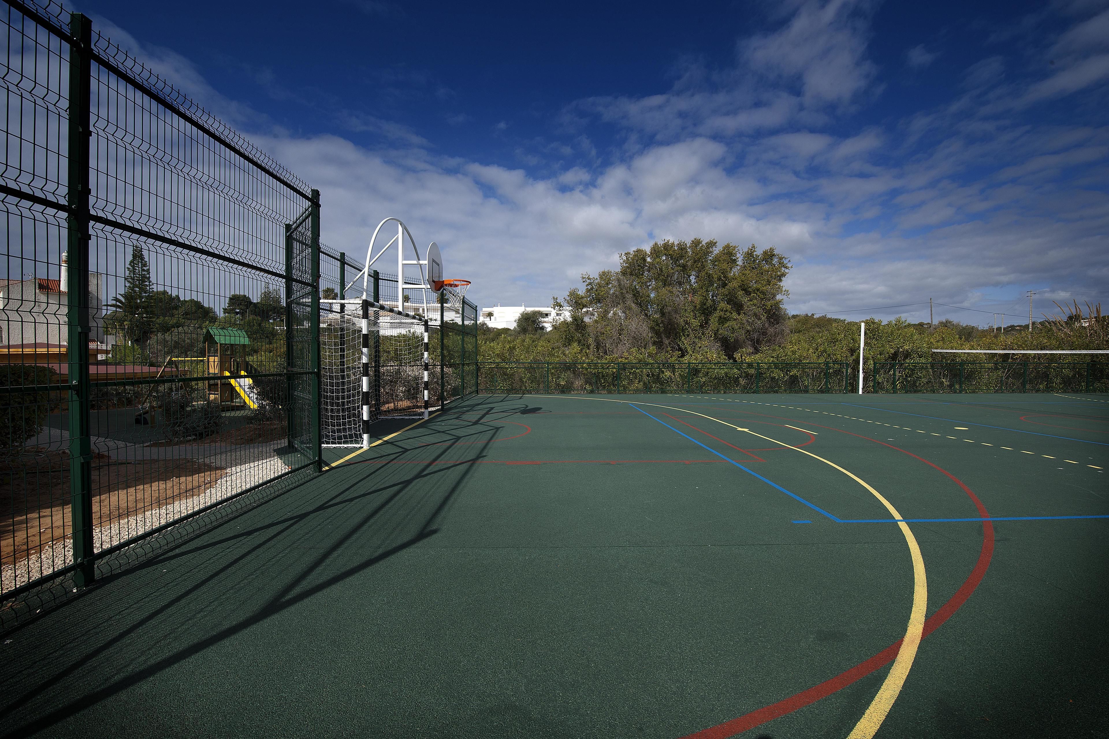 Un terrain de basket-ball extérieur doté d’une surface verte, de lignes de démarcation et d’un panier de basket.