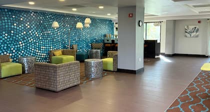 Comfort Inn & Suites Tampa North I-75