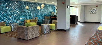 Comfort Inn & Suites Tampa North I-75