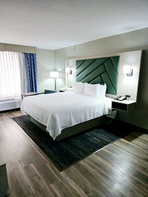 Room, 1 King Bed, Non Smoking (Efficiency)