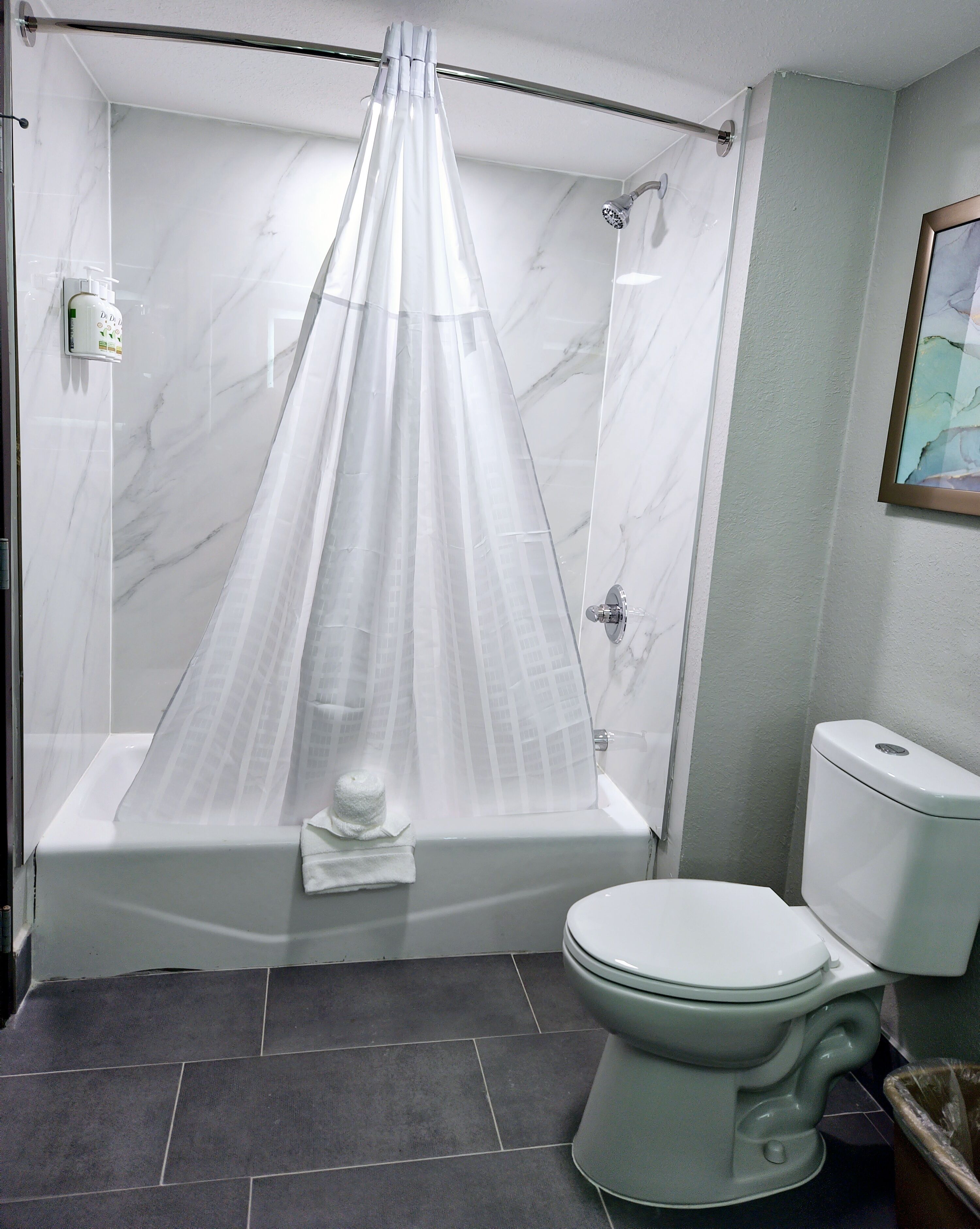 A bathroom with a shower curtain, a toilet, and a bathtub.