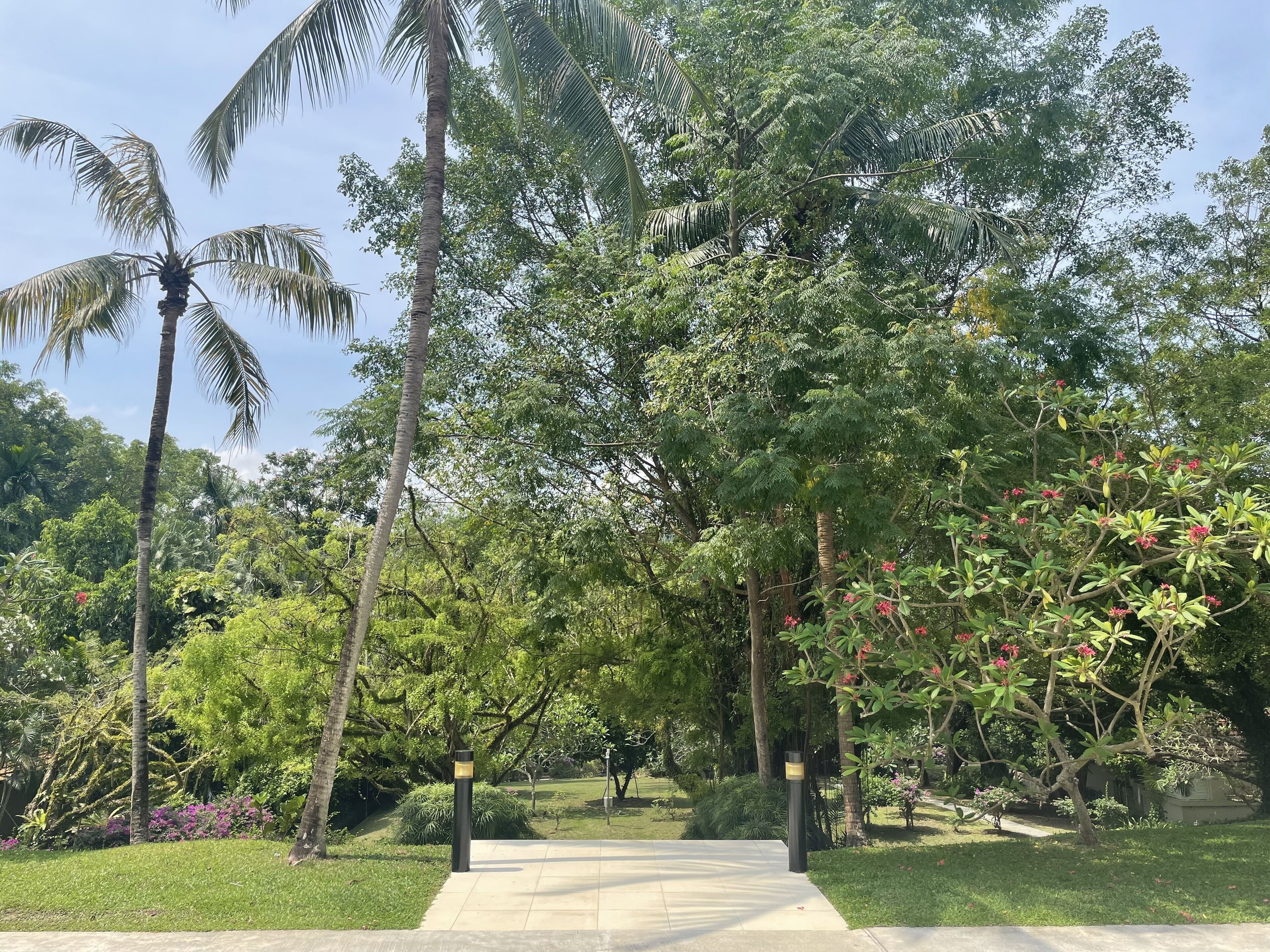 1 bedroom, pillow-top beds, minibar, in-room safe