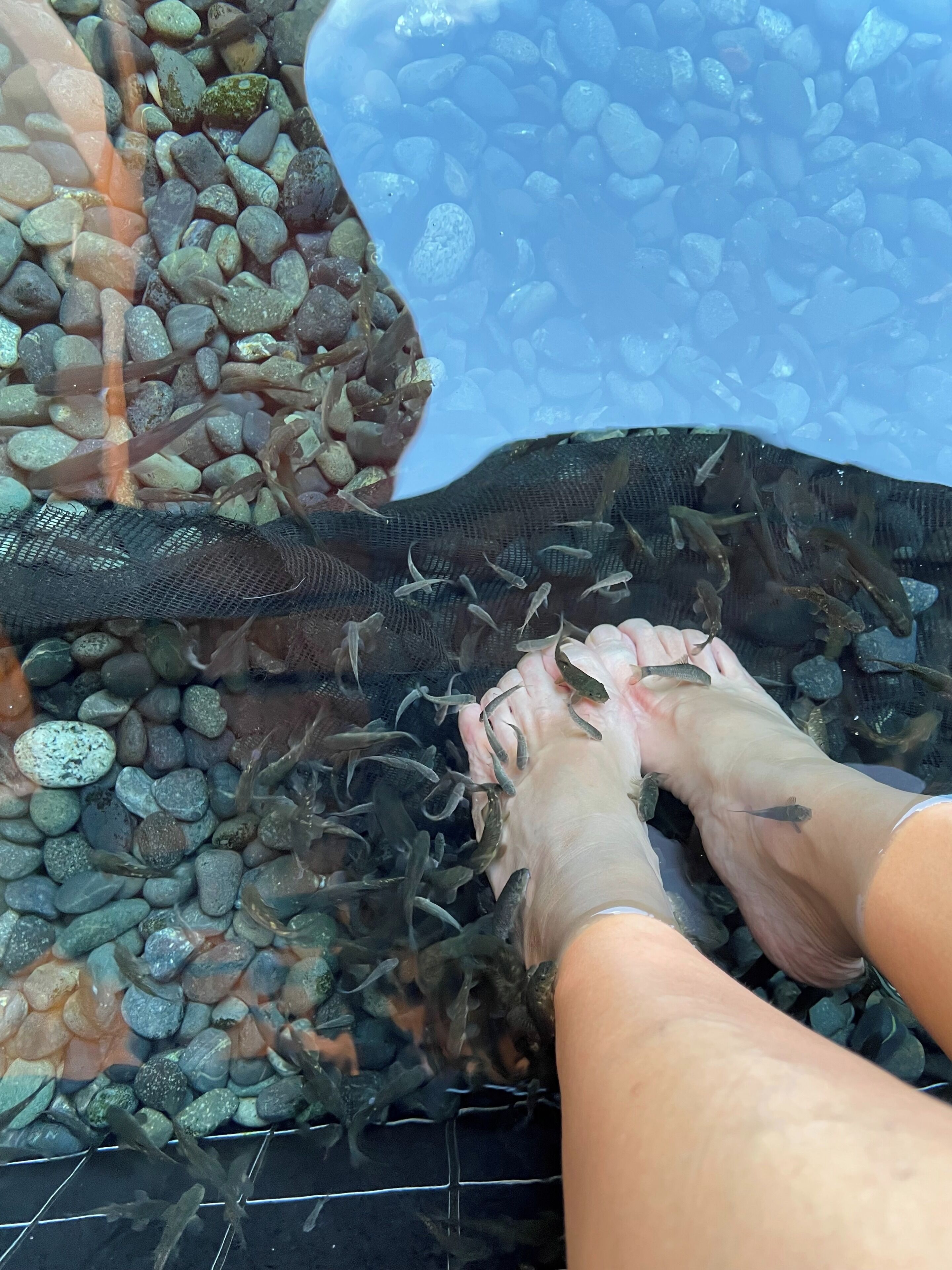 children’s activities