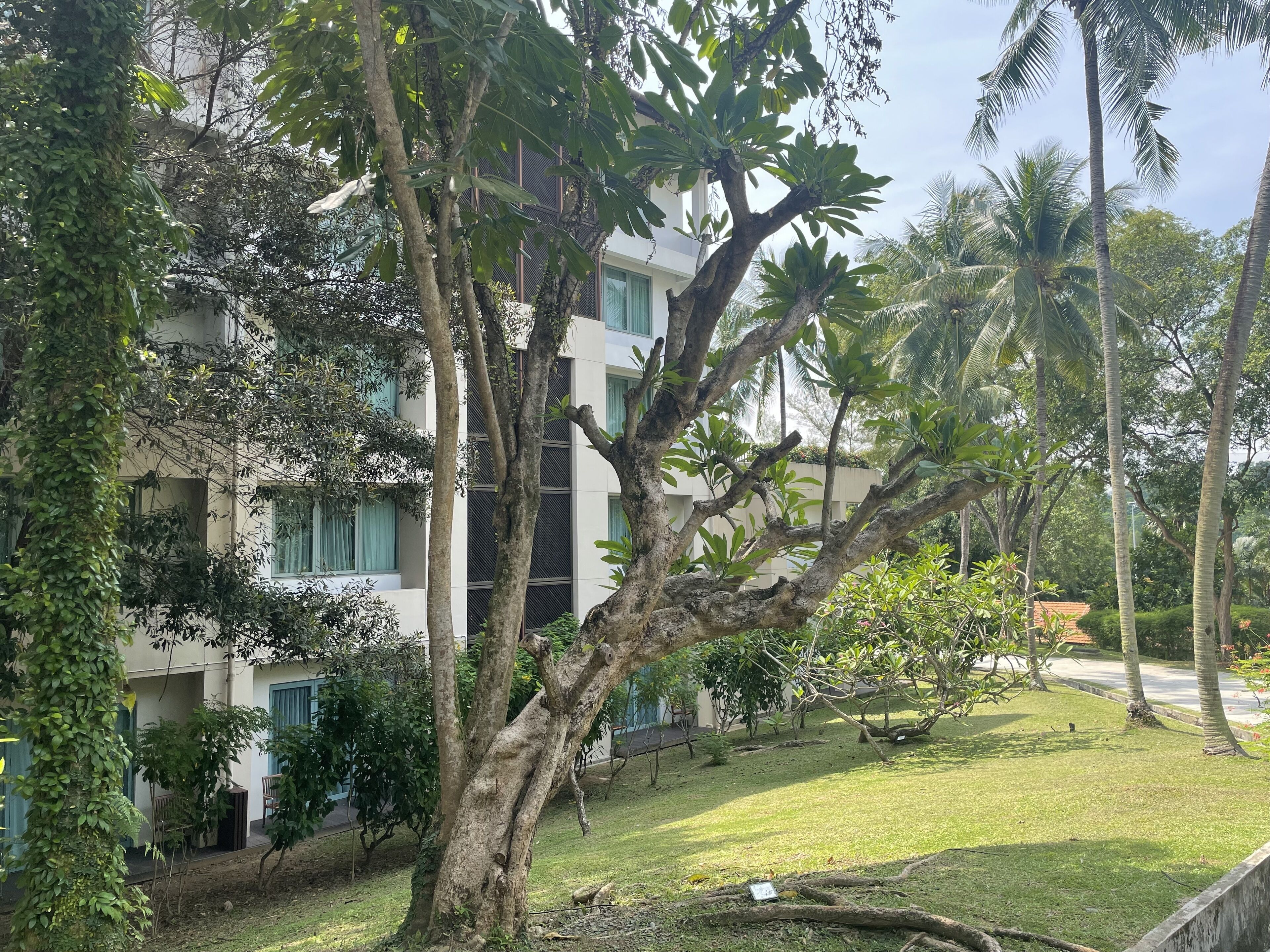 1 bedroom, pillow-top beds, minibar, in-room safe