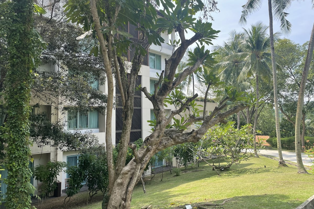 1 bedroom, pillow-top beds, minibar, in-room safe