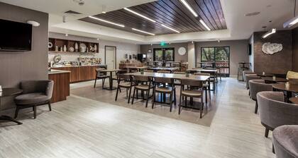 SpringHill Suites by Marriott Austin The Domain Area