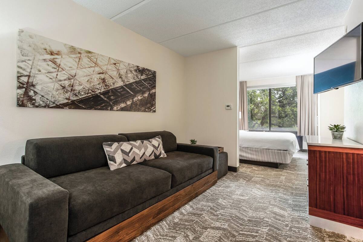 Una camera d'albergo moderna con divano, letto, televisore e un'ampia finestra che si affaccia su alberi.