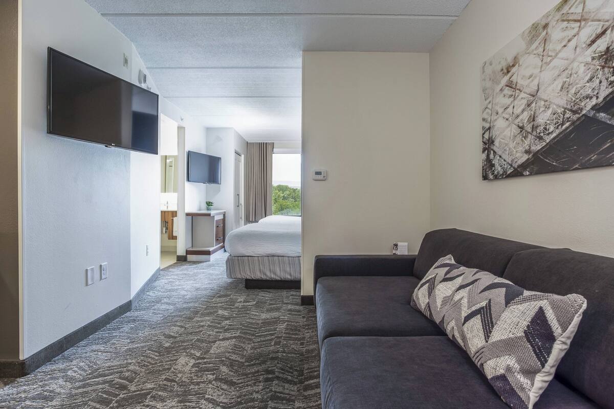 Una camera d'albergo con un divano grigio, un cuscino decorativo a motivi, un televisore a schermo piatto montato a parete e un letto con copripiumino a righe.