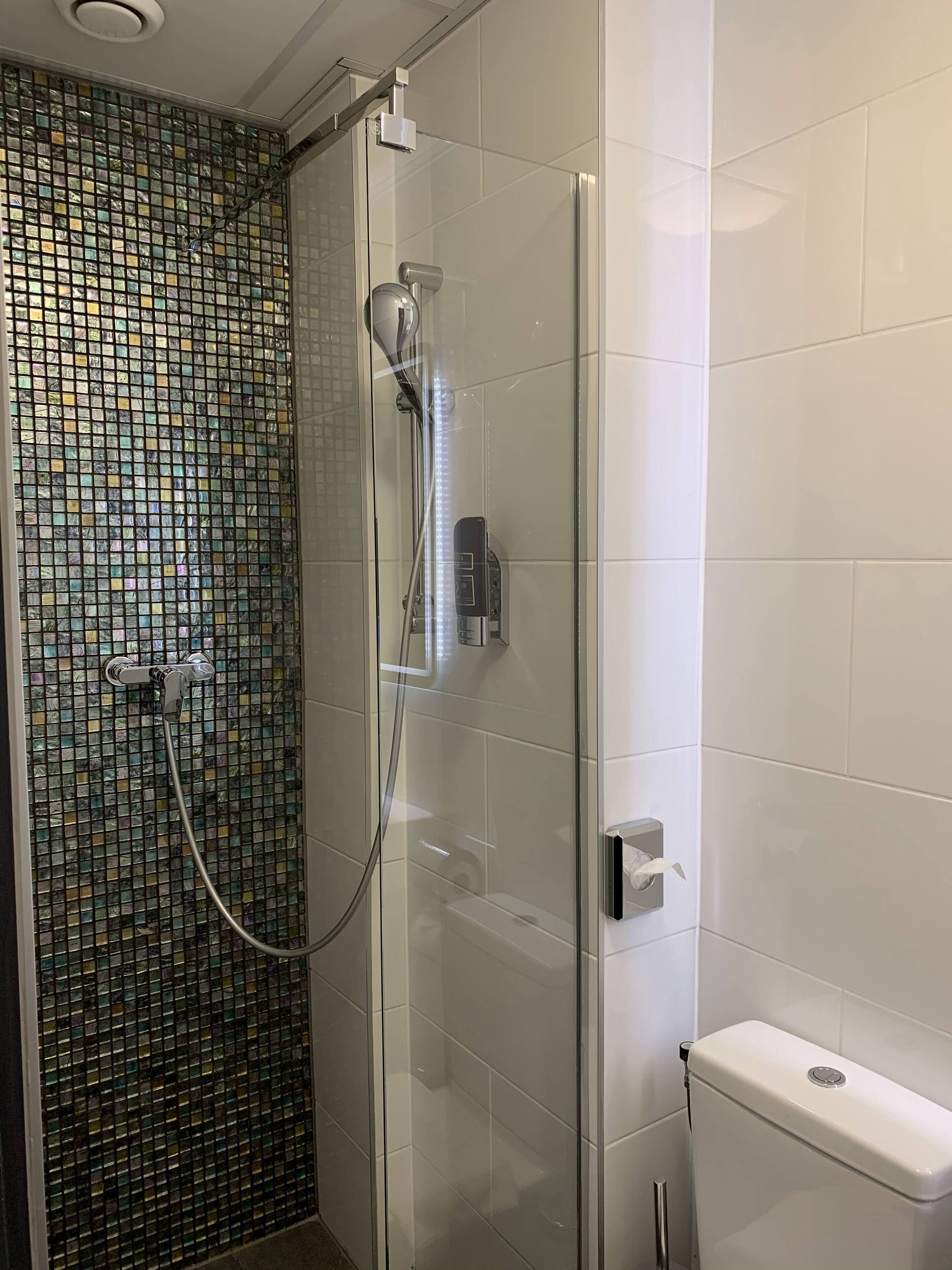 twin room | bathroom | shower, hair dryer, towels, soap