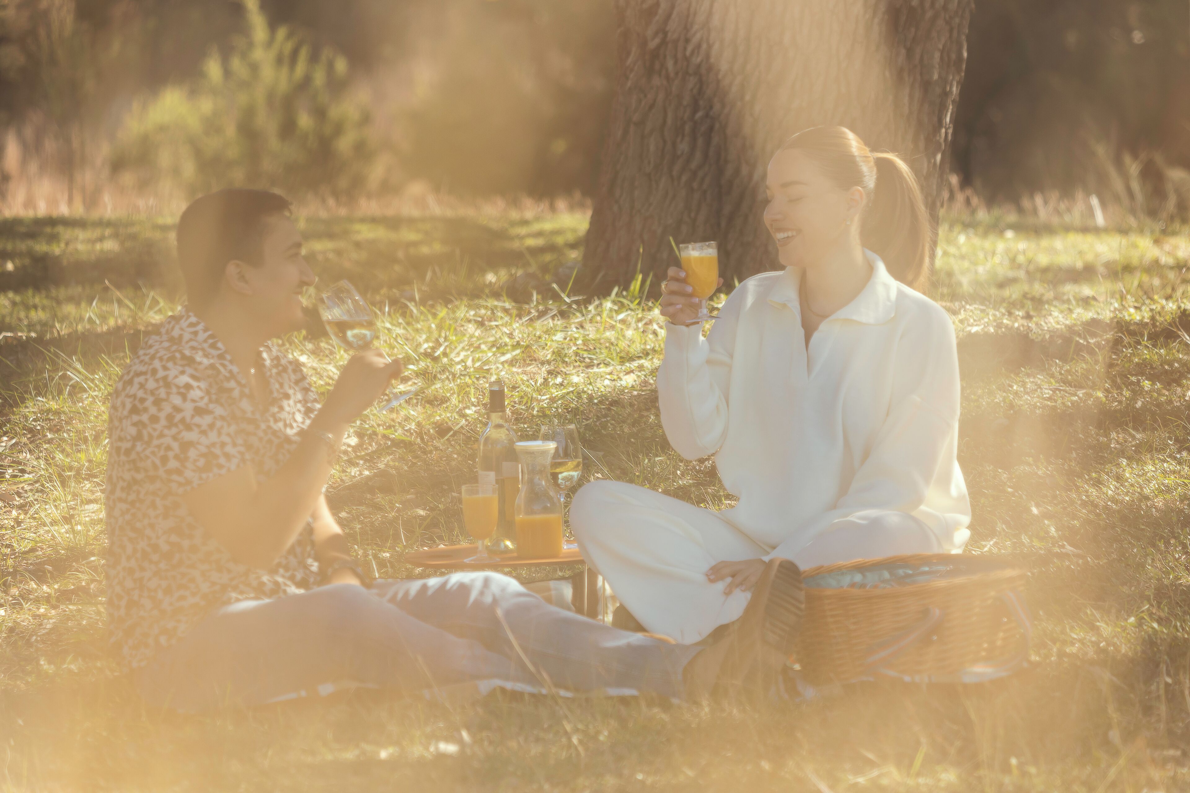 Dos personas sentadas sobre una manta al aire libre, con una cesta de picnic y bebidas.