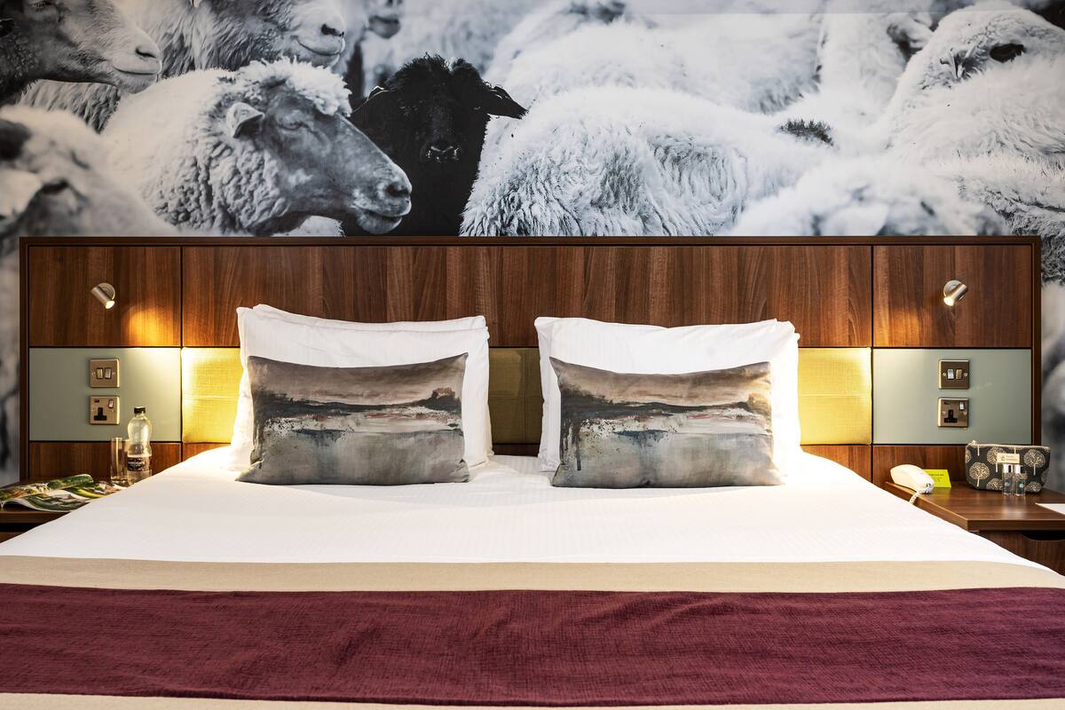 standard room, 1 king bed, non smoking | egyptian cotton sheets, premium bedding, select comfort beds